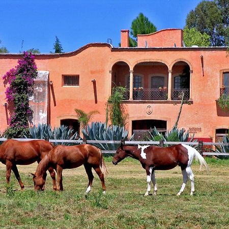 Hacienda Sepulveda Hotel & Spa (Adults Only) 라고스데모레노 외부 사진