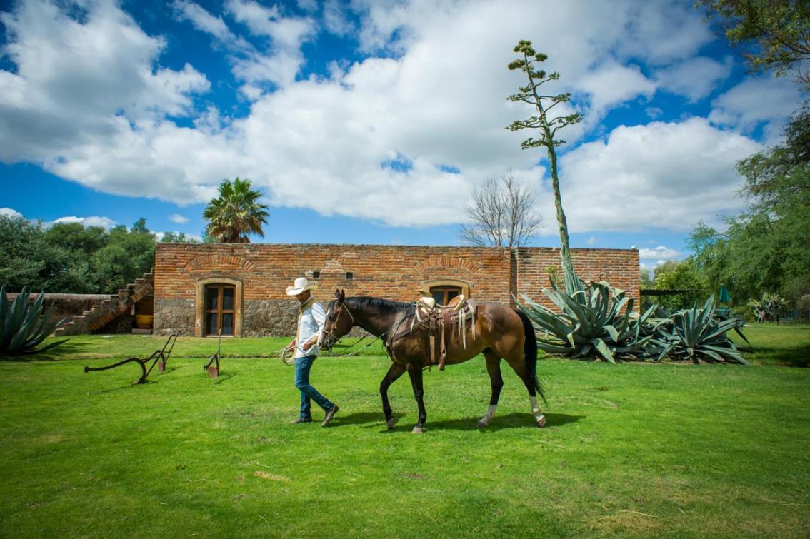 Hacienda Sepulveda Hotel & Spa (Adults Only) 라고스데모레노 외부 사진