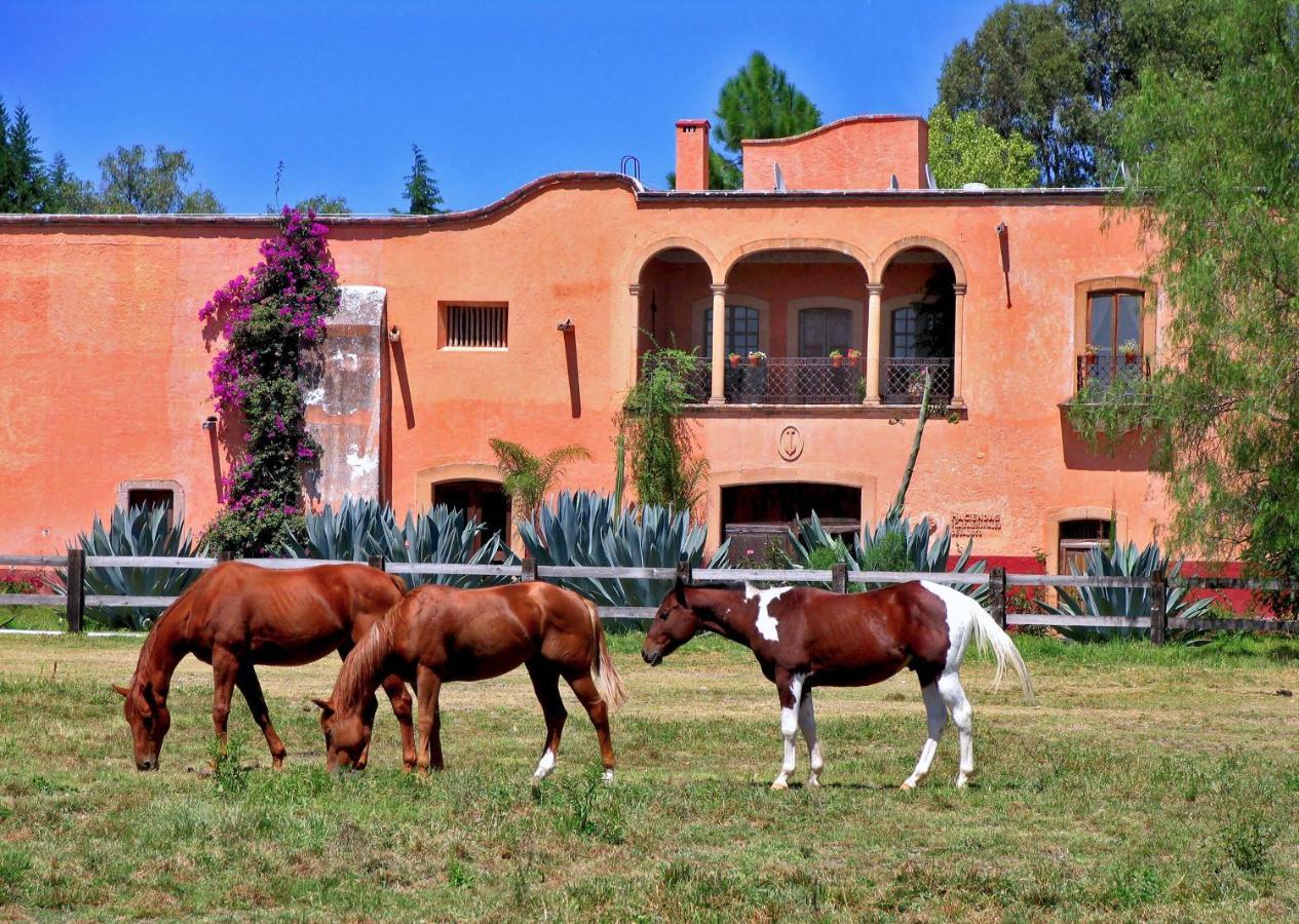 Hacienda Sepulveda Hotel & Spa (Adults Only) 라고스데모레노 외부 사진