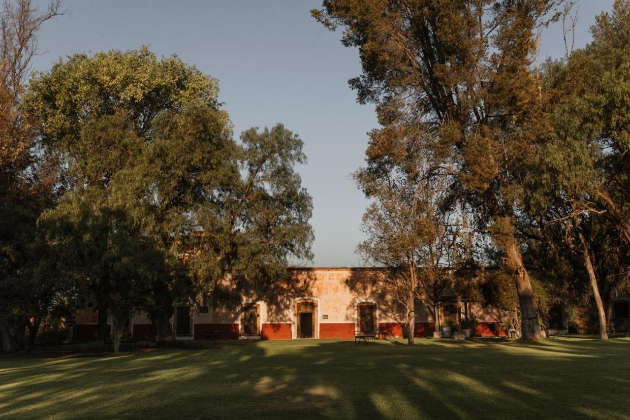 Hacienda Sepulveda Hotel & Spa (Adults Only) 라고스데모레노 외부 사진